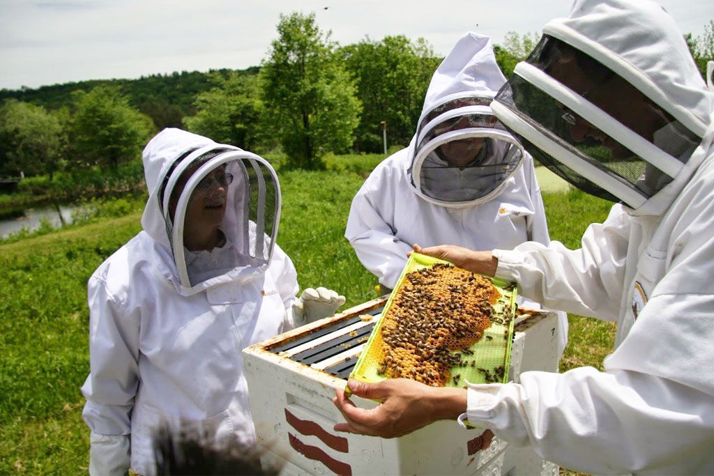 μελισσοκόμων