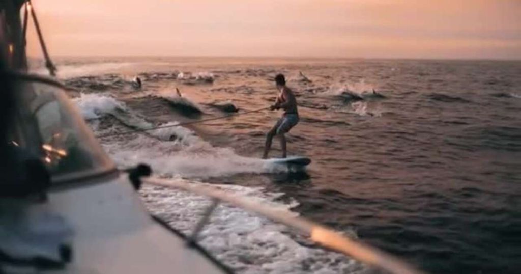 Δεκάδες δελφίνια παίρνουν στο «κυνήγι» έντρομο σέρφερ! | ΒΙΝΤΕΟ