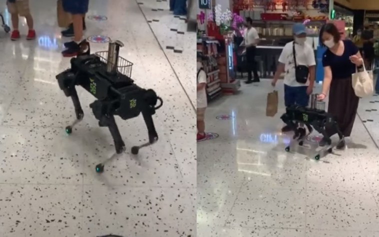 Ρομπότ σε σχήμα σκύλου βάζει αντισηπτικό σε πελάτες πολυκαταστήματος! | ΒΙΝΤΕΟ